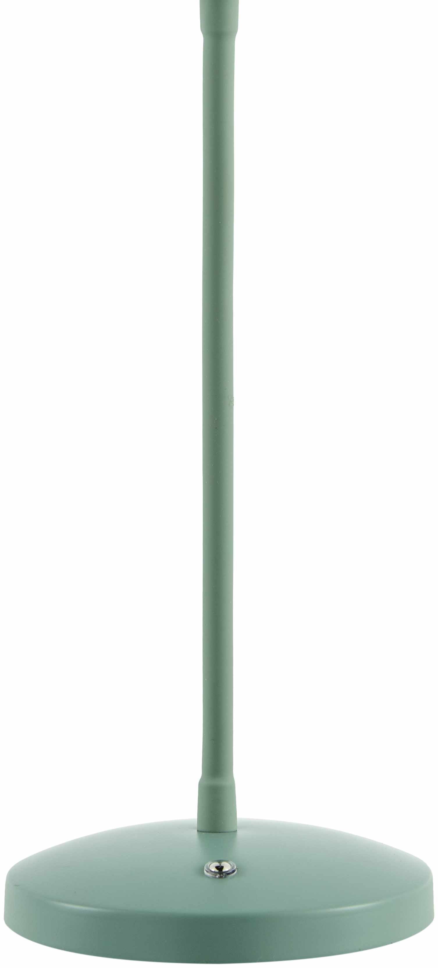 Pachiquita Table Lamp-3