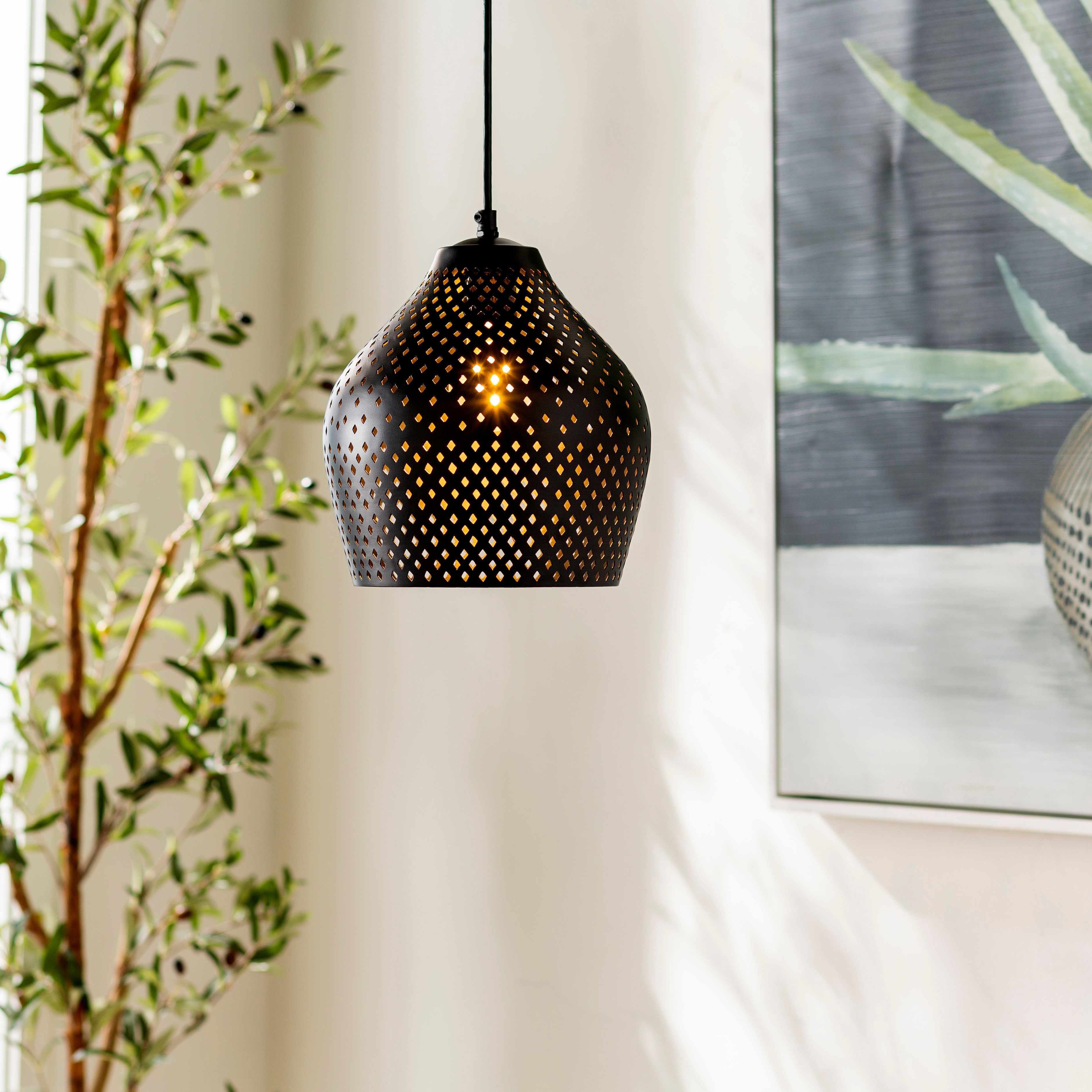 Hytop Black Metal Ceiling Lighting-1